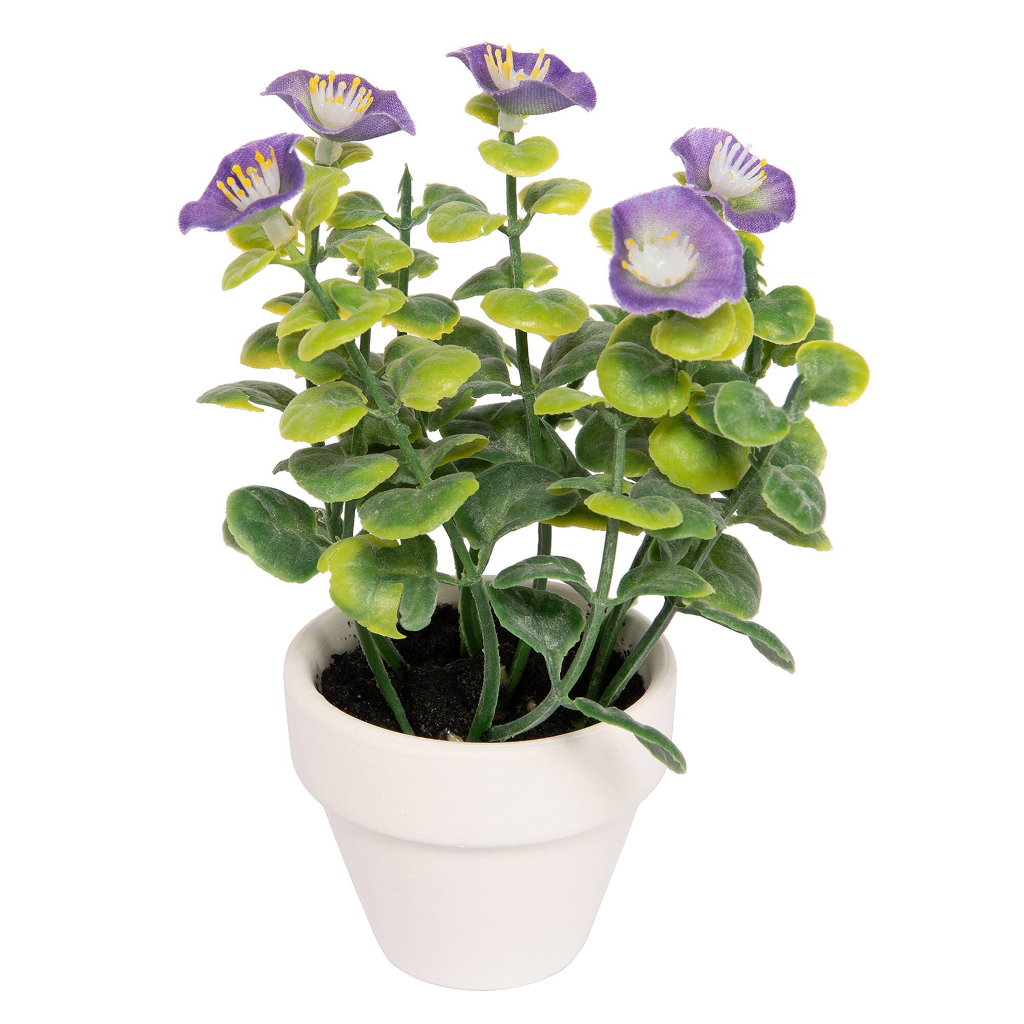 Assorted Micro Premade Flowering Plant, 1pc. by Ashland®